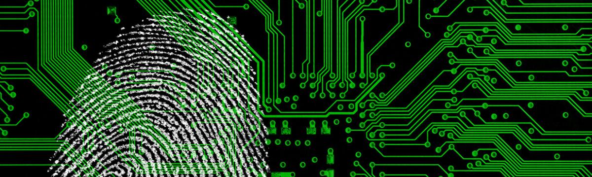 NC3TF: Northern California Computer Crimes Task Force Services NC3TF: Northern California Computer Crimes Task Force Services